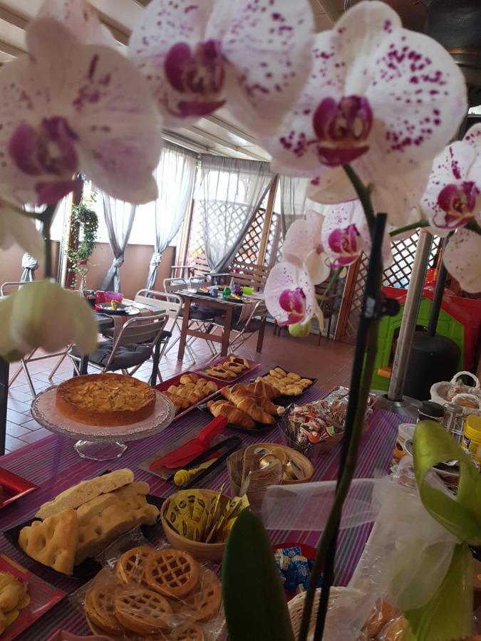 Ghiro Ghiotto Bed and Breakfast Pietra Ligure Buitenkant foto